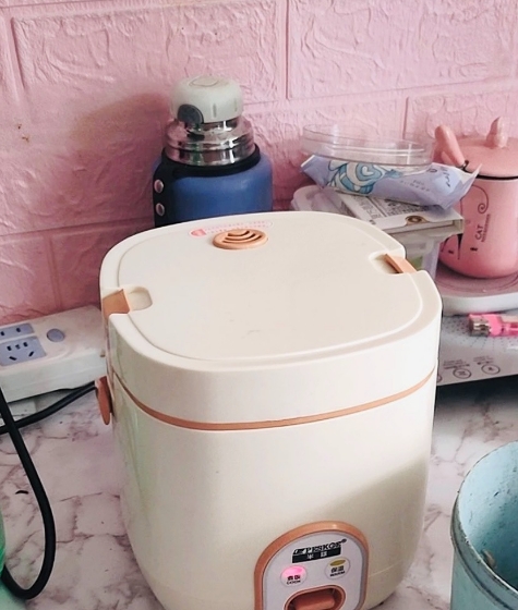 【个人闲置-半球电饭煲】家用宿舍用迷你型多功能电饭煲,1.2 【个人闲置-半球电饭煲】家用宿舍用迷你型多功能电饭煲,1.2
