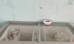 安琪儿品牌590升，买来摆摊用的，现在不摆摊了处理，有需要的