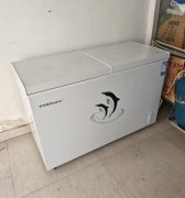 荣事达（Royalstar）冰柜商用大容量全冷冻卧式 低价出