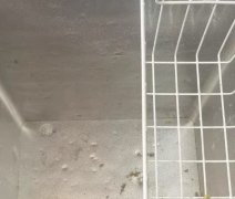 容声166升（冷藏53升，冷冻113升）一级能效冰柜。 各项